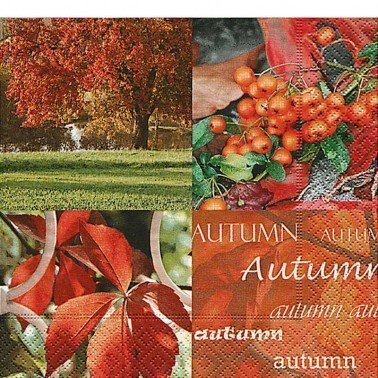 Servilletas para decoupage Autumn nature 33 X 33 cm.